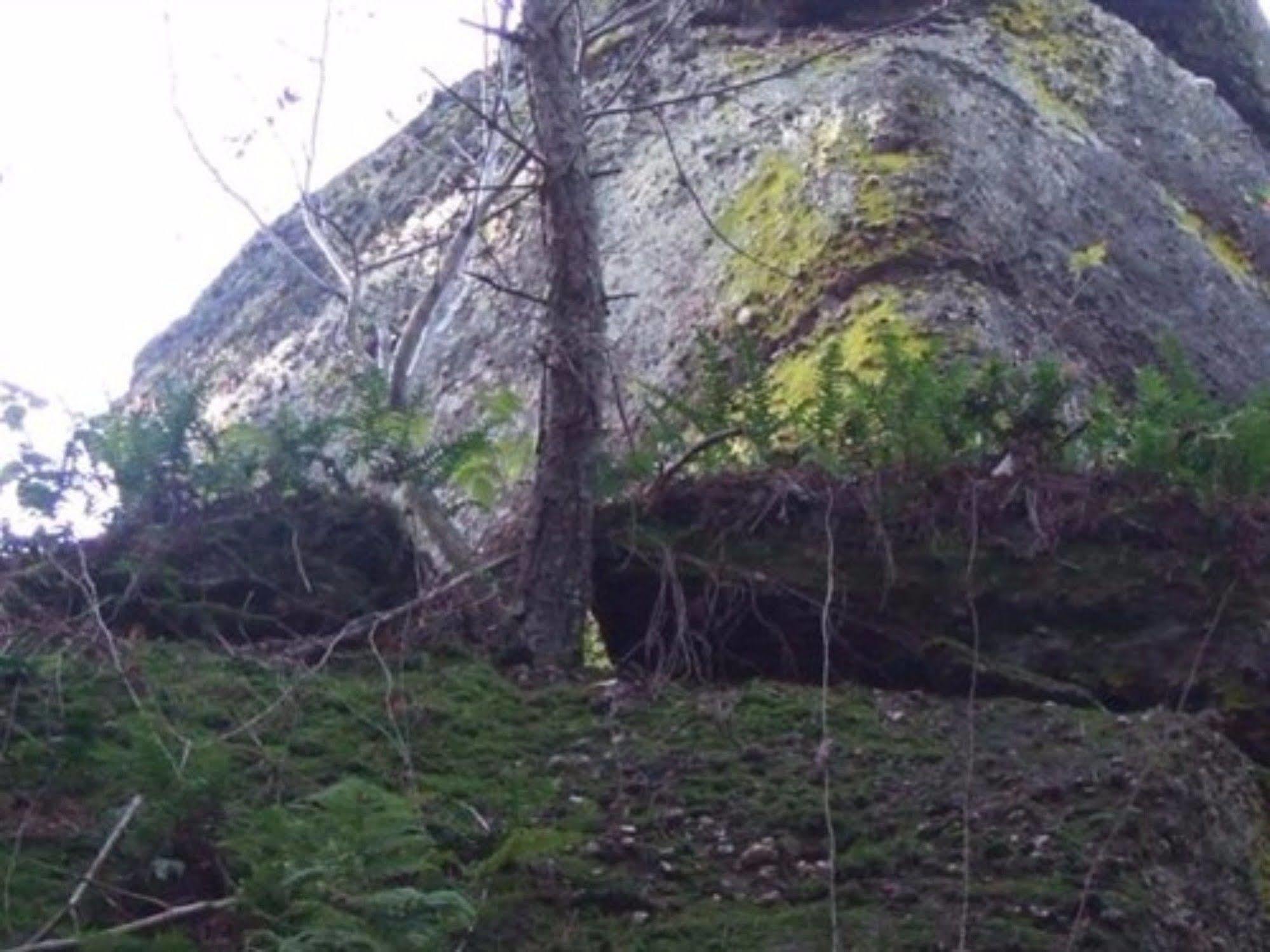 Auberge D'Hotes L'Instant Le Hohwald Esterno foto