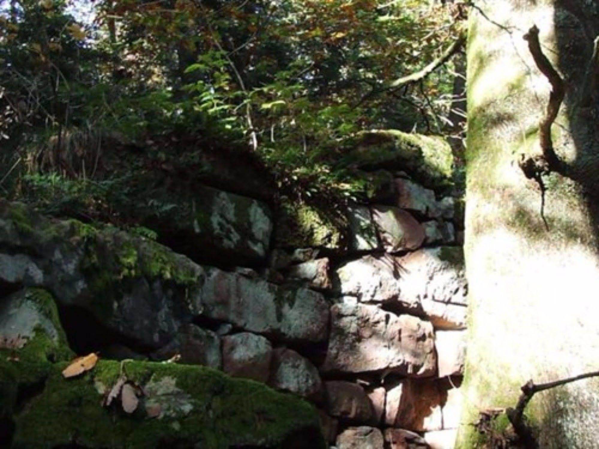 Auberge D'Hotes L'Instant Le Hohwald Esterno foto