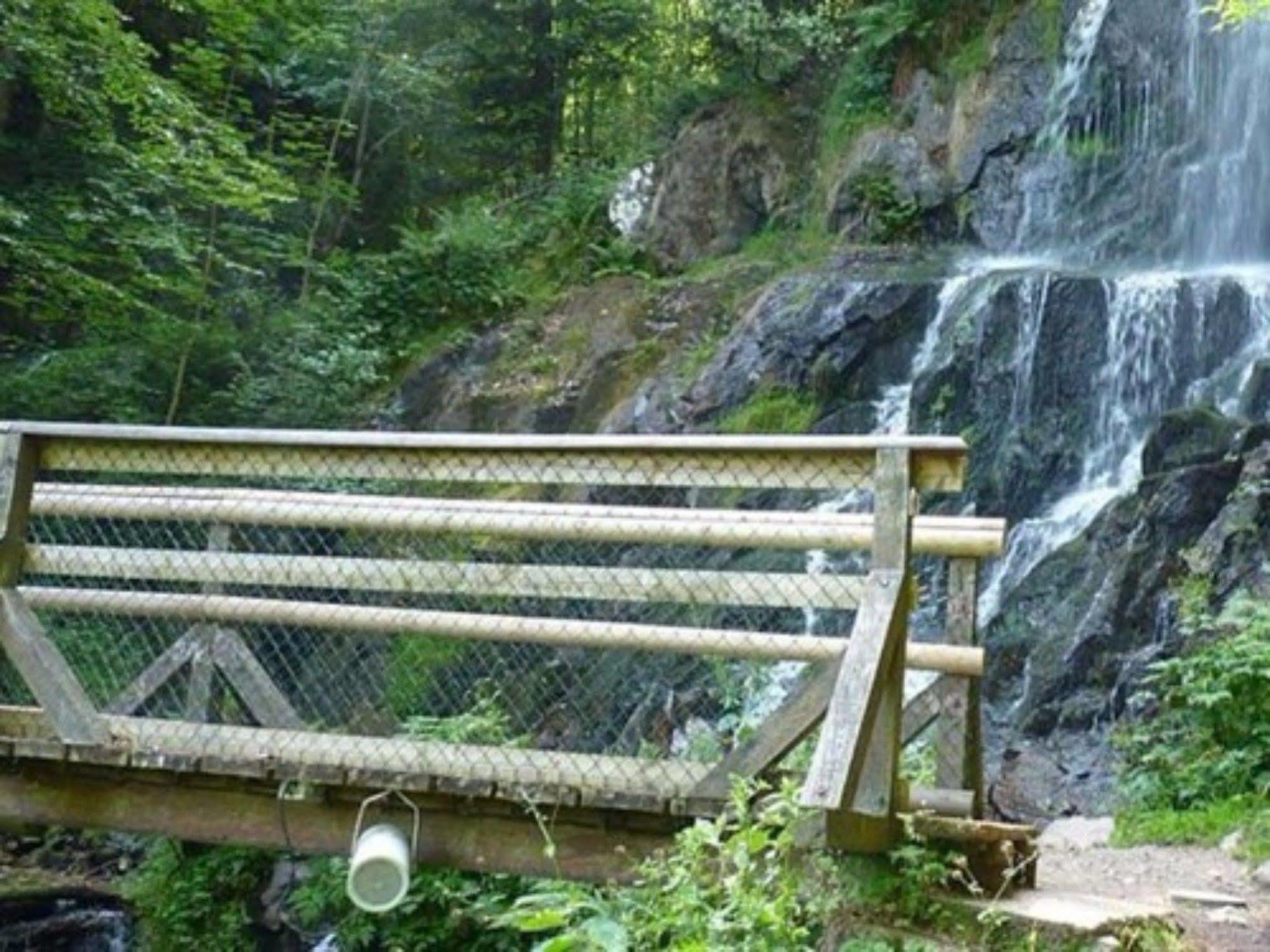 Auberge D'Hotes L'Instant Le Hohwald Esterno foto